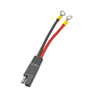 Câble d'alimentation solaire 12V avec connecteur SAE, adaptateur de batterie, câble de charge pour moto, boîte à fusibles avec bornes de type O, faisceau de câbles personnalisé