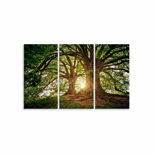 Lienzo Impreso: Impresión Fotográfica de Árbol Verde en el Bosque al Amanecer, JUEGO DE 3 LIENZOS - Product Image 2
