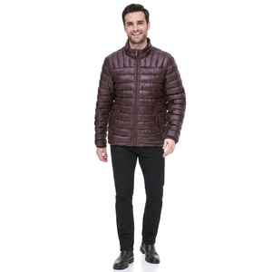 Blousons matelassés légers de haute qualité pour hommes, couleur unie, pour l'extérieur, vêtements d'hiver, toile respirante, séchage rapide, style urbain, OEM - Product Image 1