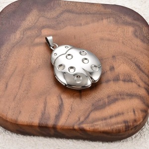 Collier avec pendentif médaillon en acier inoxydable, motif coléoptère mignon, cadre photo ouvrable, chaîne coccinelle, cadeau nostalgique pour la famille - Product Image 5