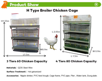 Cage à poulets automatique de type H, galvanisée à chaud, équipement d'élevage avicole de grande capacité pour ferme avicole, à vendre