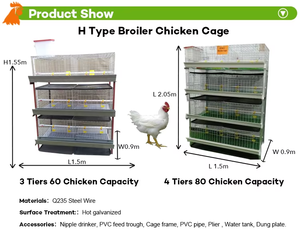 Cage à poulets automatique de type H, galvanisée à chaud, équipement d'élevage avicole de grande capacité pour ferme avicole, à <span class=keywords><strong>vendre</strong></span> - Product Image 5