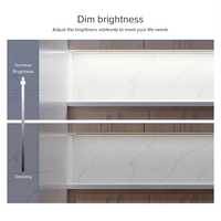 Système de contrôle d'éclairage intelligent eSann DC5-24V Dim Single Color RGW RGBW RGBCCT Zigbee Gradateur pour bande de LED