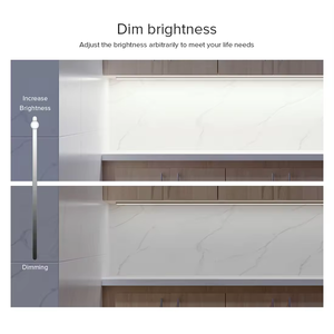 ESann DC5-24V Smart Lighting Control System Dim Single Color <strong>RGW</strong> RGBW RGBCCT Zigbee Dimmer for <strong>LED</strong> <strong>Strip</strong>