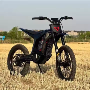 安徽Starye 2025北极豹XE PRO <span class=keywords><strong>S</strong></span>电动摩托车72V55Ah 20KW 100千米/h速度锂电池盘式制动器 - Product Image 4