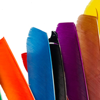 Plumes de dinde pleine longueur de plus de 18 cm pour le fletchage des flèches, pour ensemble arc et flèches - Vente chaude de l'usine Linkboy Archery