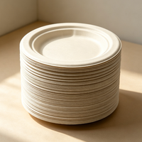 Assiette en pulpe de papier recyclable personnalisable de qualité alimentaire pour événements, traiteur, restaurant, usage domestique, exposition et service alimentaire