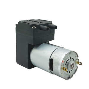 BOTEICH Mini Bomba de Aire de Diafragma de 16L, 12V, Alta Presión, para Belleza, Salud y Masajes - Product Image 1