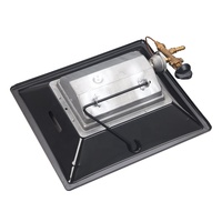 Chauffe-terrasse infrarouge portable à gaz avec thermostat réglable, éclairage, gaz naturel/propane/GPL, classe d'efficacité énergétique, extérieur