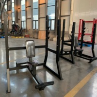 Banc multifonctionnel ST-8010 pour l'entraînement de la force et des exercices des épaules, idéal pour les clubs de fitness