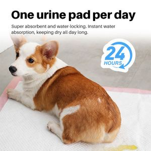 HengJia - Almohadillas Desechables Superabsorbentes de 60x60cm para Perros y Cachorros, a Prueba de Fugas, para Entrenamiento de Orina, de Fábrica - Product Image 1