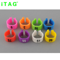 Bagues pour jambes d'oiseaux, accessoires de course,