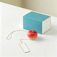 Carillon éolien en céramique fait main en forme de pomme, ornement suspendu créatif, décoration d'intérieur, cadeau d'anniversaire unique