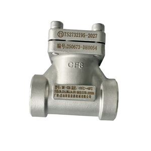 Válvula de Retención de Elevación de Acero Inoxidable DH-32A DN32 para GNL Criogénico y Gas con Sello de PTFE 4.0MPa - Product Image 2