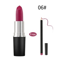 Crayon à lèvres haute pigmentation, marque privée, 2021, logo personnalisé, imperméable, mat, végan, 12 couleurs