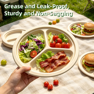 9 Inch Sugarcane Bagasse 3 Compartment <b>Disposable</b> <b>Plate</b> Biodegradable Eco Friendly Food Grade Lunch Tray - Product Image 2