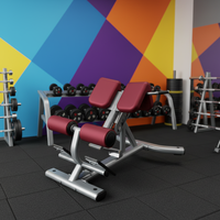 Banc d'extension dorsal abdominal pour la salle de sport, équipement de fitness commercial, banc romain réglable pour la musculation