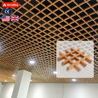 DiLan Grille en aluminium légère à cellules ouvertes pour extérieur, ignifuge, imperméable, insonorisante, antirouille, revêtement poudré, grain de bois