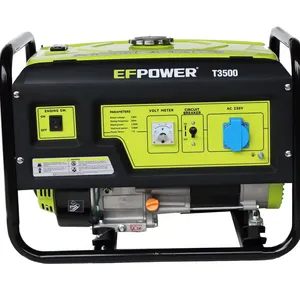 3000 W 110 V 220 V Wechselrichter Generator-Set für Zuhause leis