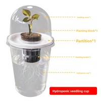 Panier de transplantation en plastique pour semis hydroponiques, système de racines, graines, succulentes, patates douces