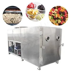 MY Flower Experimental Freeze-Dry Machine 200 Kg Sale Equipment Largest for Fruit and Vegetable Shrimp