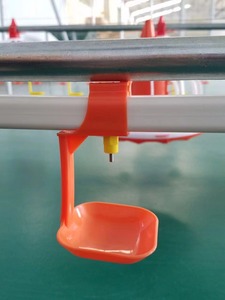 2025 Abreuvoir à <span class=keywords><strong>tétine</strong></span> de volaille <span class=keywords><strong>incassable</strong></span> en PVC étanche pour une agriculture sans stress - Product Image 6