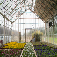 Serre moderne multi-voûtes en polycarbonate avec structure en acier galvanisé à chaud pour l'agriculture commerciale