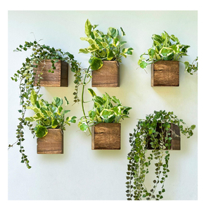 Jardinière <span class=keywords><strong>en</strong></span> <span class=keywords><strong>bois</strong></span> <span class=keywords><strong>pour</strong></span> plantes, petites jardinières murales carrées <span class=keywords><strong>pour</strong></span> plantes d'intérieur, pot de fleurs suspendu à la fenêtre, boîtes <span class=keywords><strong>en</strong></span> <span class=keywords><strong>bois</strong></span> <span class=keywords><strong>pour</strong></span> la maison et le jardin - Product Image 4