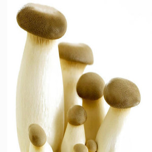 Extracto de Pleurotus <span class=keywords><strong>Eryngii</strong></span> Polisacárido 100% Natural de Alta Calidad, Estándar GMP, Grado Alimenticio, Polvo de Fruta Envasado al Vacío en Tambor - Product Image 6