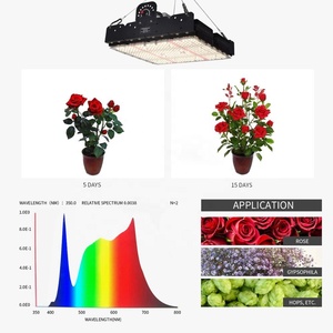 250w Ajouter du <span class=keywords><strong>soleil</strong></span> pour planter des <span class=keywords><strong>fleurs</strong></span> LED lampe de croissance pour plantes - Product Image 2