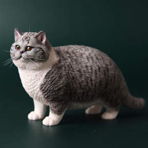Statue de chat personnalisée, sculpture, décoration d'intérieur, ornement, figurine de chaton calico, figurine de chaton, figurine de chat en résine de simulation, objet de collection - Product Image 6