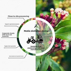 Biologico distillato <span class=keywords><strong>di</strong></span> alta qualità madoval chiodo <span class=keywords><strong>di</strong></span> <span class=keywords><strong>garofano</strong></span> bocciolo <span class=keywords><strong>olio</strong></span> <span class=keywords><strong>essenziale</strong></span> per aromaterapia e cura della pelle materie prime all'ingrosso - Product Image 5