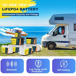 Batterie Li-ion 24V 200AH de haute qualité, pack de batteries au lithium 25.6V 200AH, catégorie de produits premium - Product Image 5