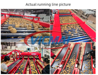Automatische industriële fruit- en groentesorteermachine voor appels, sinaasappels, uien, aardappelen, bosbessen en tomaten
