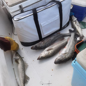 Хит продаж, рыболовные сумки - Product Image 4