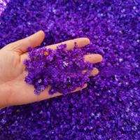 Oferta Especial Resina Epóxi Art Nail Sabão Vela Perfumada Fazendo Flor Seco Brasil Little Star Flower Natural Minúsculas Flores Secas