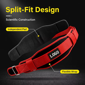 YX Powerlifting Nefes Alabilen Antrenman Kemerleri Spor Salonu Ağırlık Kaldırma Fitness Squat Doğal Kauçuk PVC - Product Image 2
