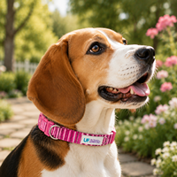 Collier pour chien en nylon écologique à libération rapide, accessoires personnalisés pour animaux de compagnie, vente en gros