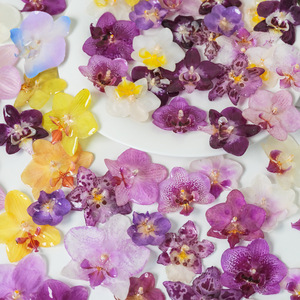 Colgantes de resina con flor de orquídea Phalaenopsis auténtica y orquídea mariposa seca para componentes de joyería DIY y broches - Product Image 4