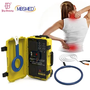 Pmst Loop Pemf pulsato terapia del campo elettromagnetico fisioterapia EMTT therapie Magnetfeld Therapie Machine per la riabilitazione del cavallo