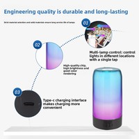 Lampe d'ambiance de chevet haut de gamme Rayluxtech, contrôle par application, batterie intégrée, lumière ambiante colorée, contrôle multi-modes 50000