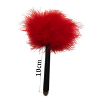 Plume de stimulation pour jeux de rôle pour adultes, accessoires BDSM, jouets sexuels
