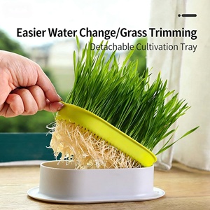 Bandejas para Germinar Semillas de Hierba para Gatos de Interior, Kit de Cultivo Hidropónico de Hierba para Gatos, Bandeja Orgánica para Cultivar Hierba para Gatos - Product Image 5