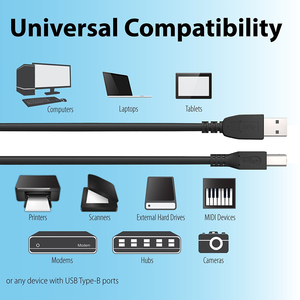 Câble d'<span class=keywords><strong>imprimante</strong></span> USB 2.0 mâle USB A vers B haute vitesse en gros, 1,5 m, 2 m, 3 m, 5 m, 10 m, avec ferrite pour <span class=keywords><strong>imprimante</strong></span> <span class=keywords><strong>scanner</strong></span> <span class=keywords><strong>HP</strong></span> Canon Epson Dell - Product Image 6