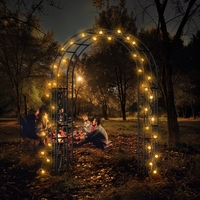 Arche de jardin en métal : Arche décorative d'extérieur, portique, cadre d'arche de mariage pour allées, entrées et plantes grimpantes