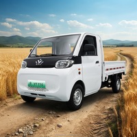 Véhicule de transport agricole électrique à plateau surélevé T10 certifié REACH, à couple élevé et à économie d'énergie