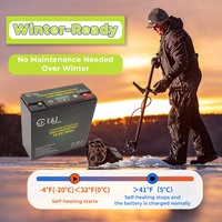 Baterai Lithium LiFePO4 12V 20Ah, Pengganti Baterai Siklus Dalam 256Wh untuk 12V 18Ah 20Ah 22Ah AGM SLA, Dilengkapi BMS Pintar Terintegrasi