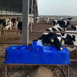 Hot bán tự động chăn nuôi bò nước máng cừu dê cừu gia súc waterer - Product Image 6