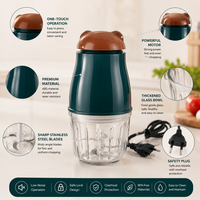 Mixeur Électrique Portable en Verre pour Aliments Bébé, Mini Hachoir à Viande et à Ail à Faible Bruit et Fonctionnement Silencieux pour Usage Domestique