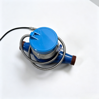 32mm Diameter Electronic Hot Water Meter with Remote Transmission